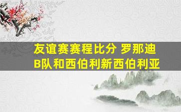 友谊赛赛程比分 罗那迪B队和西伯利新西伯利亚